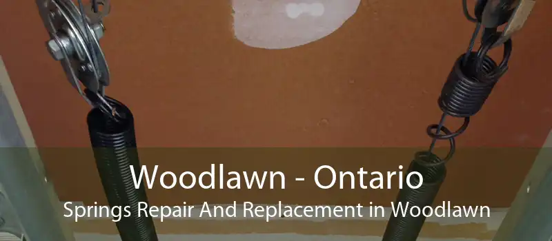 Woodlawn - Ontario Springs Repair And Replacement in Woodlawn