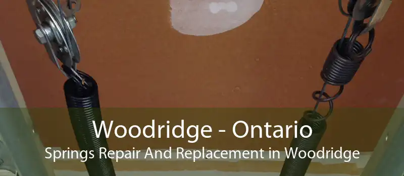 Woodridge - Ontario Springs Repair And Replacement in Woodridge