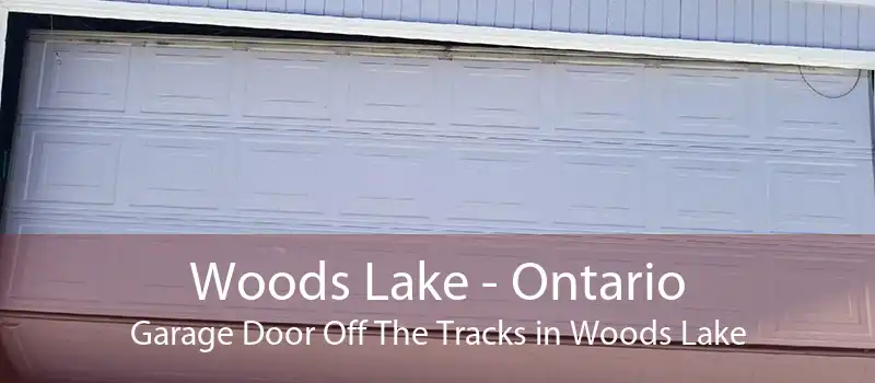 Woods Lake - Ontario Garage Door Off The Tracks in Woods Lake