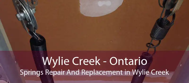 Wylie Creek - Ontario Springs Repair And Replacement in Wylie Creek