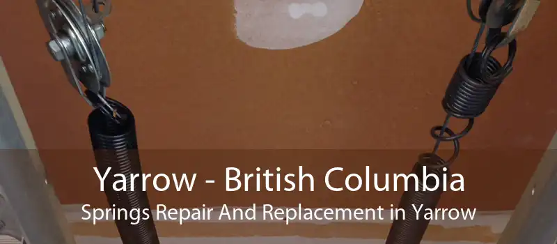 Yarrow - British Columbia Springs Repair And Replacement in Yarrow