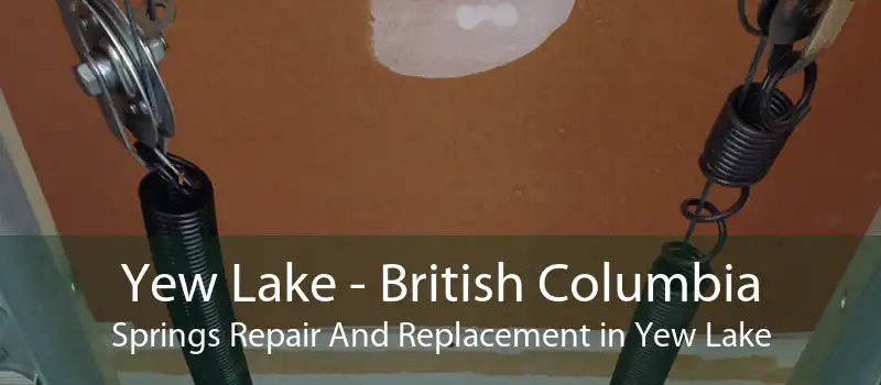 Yew Lake - British Columbia Springs Repair And Replacement in Yew Lake