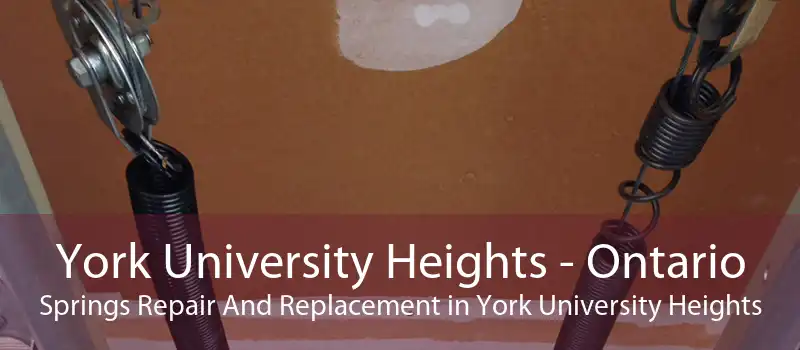 York University Heights - Ontario Springs Repair And Replacement in York University Heights