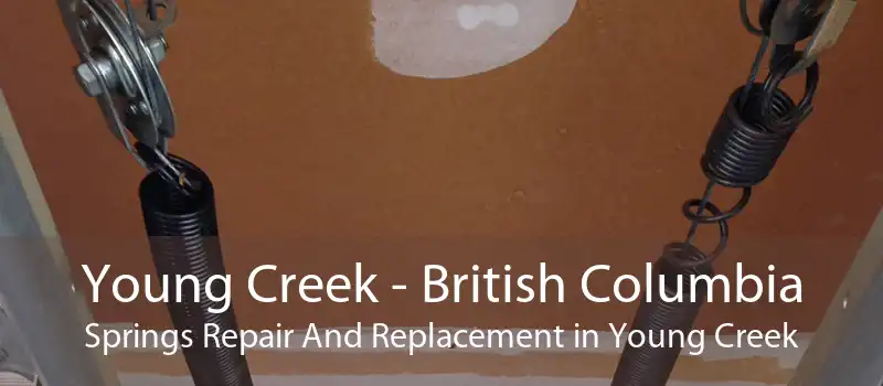 Young Creek - British Columbia Springs Repair And Replacement in Young Creek