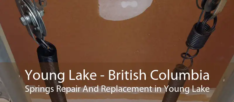 Young Lake - British Columbia Springs Repair And Replacement in Young Lake